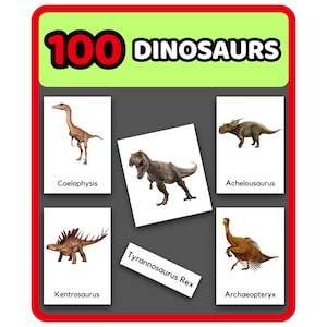 100 Dinosaurs 3-Part Cards – Printable Dino Flashcards | Montessori Kids Homeschool | Classroom Learning Educational Resources Nomenclature