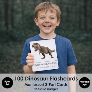 100 Dinosaur Flashcards Printable for Kids | Montessori 3-Part Cards | Dinosaur Learning Cards | Preschool Dinosaur Activity | Nature Study