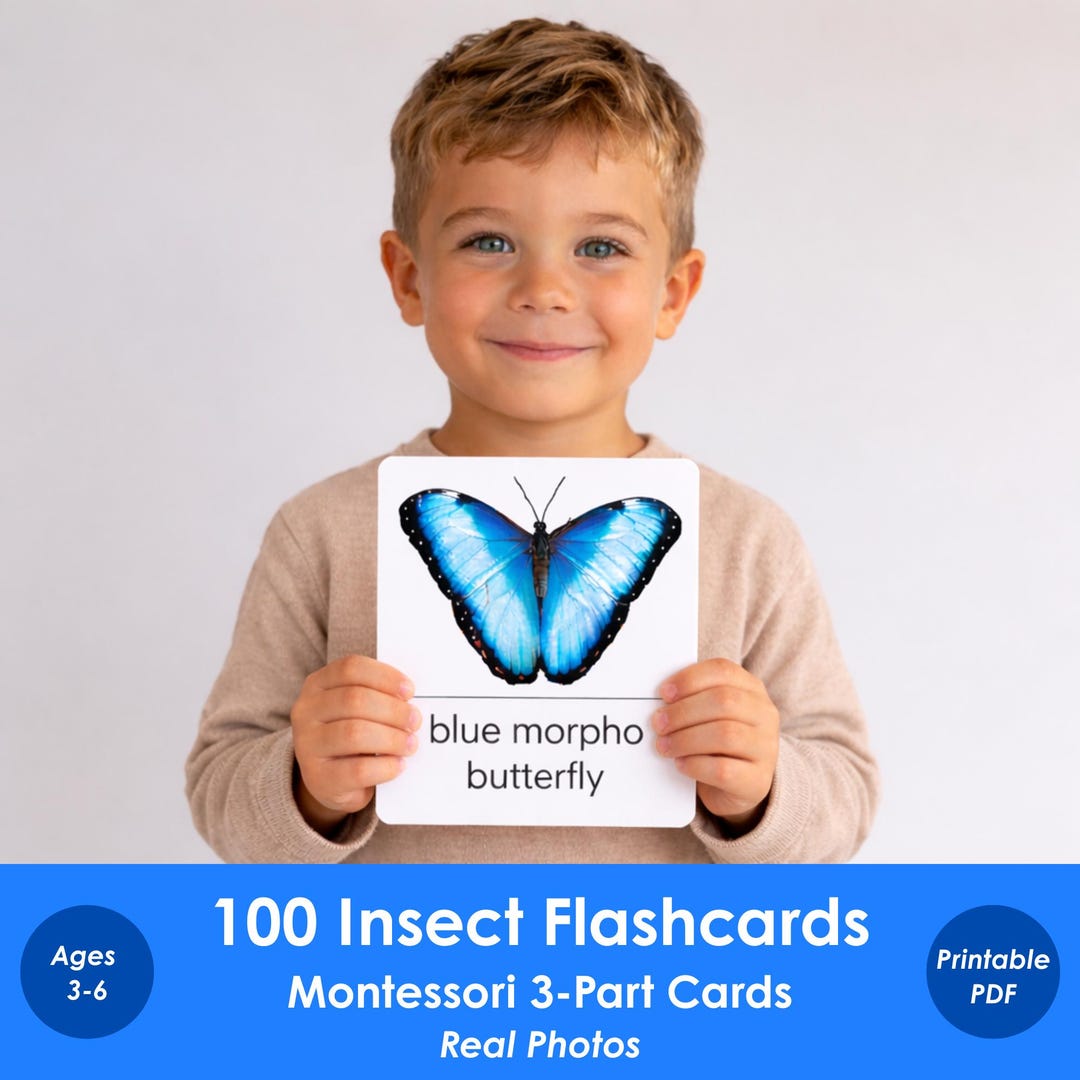 100 Insect Flashcards Printable for Kids | Montessori 3-part Cards ...