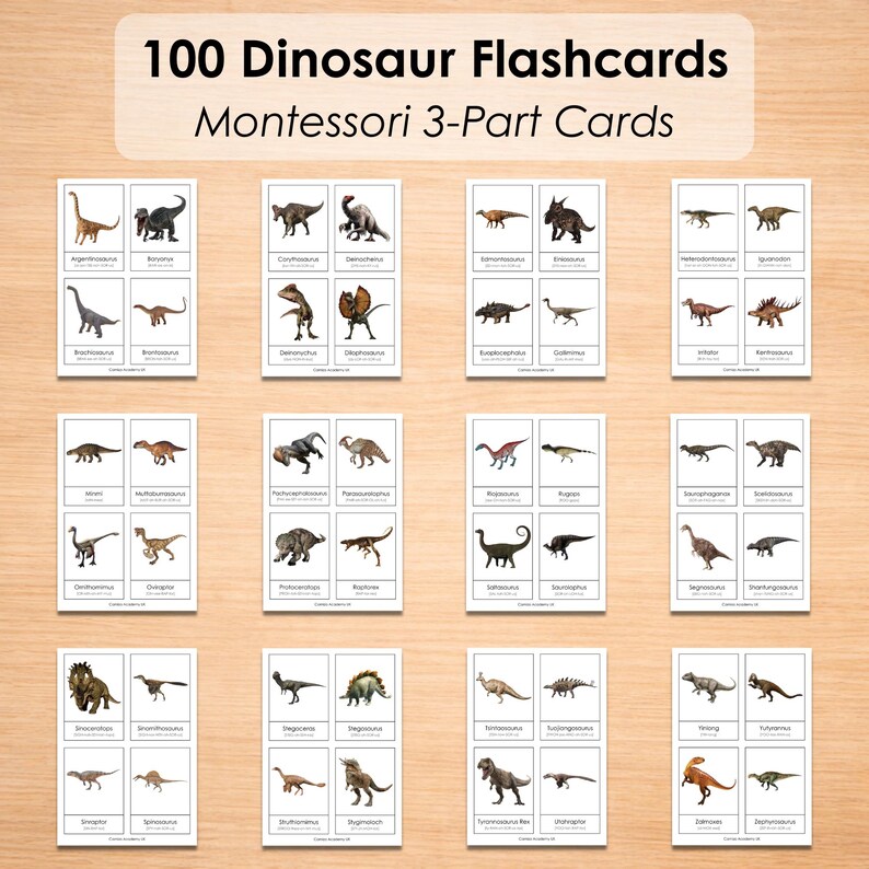 100 Dinosaur Flashcards Printable for Kids | Montessori 3-part Cards ...
