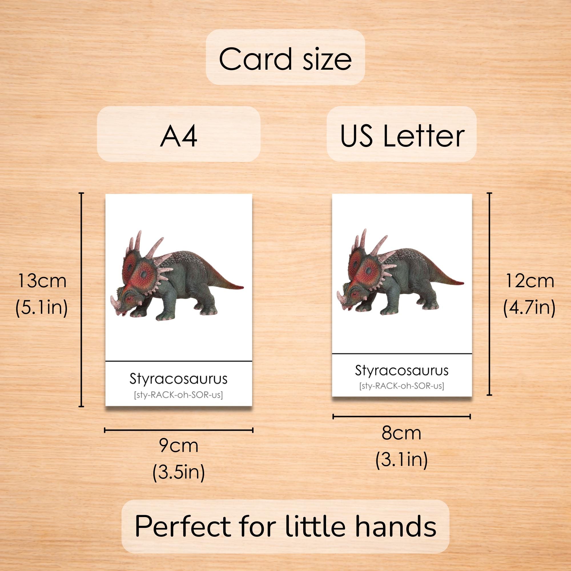 100 Dinosaur Flashcards Printable for Kids | Montessori 3-part Cards ...