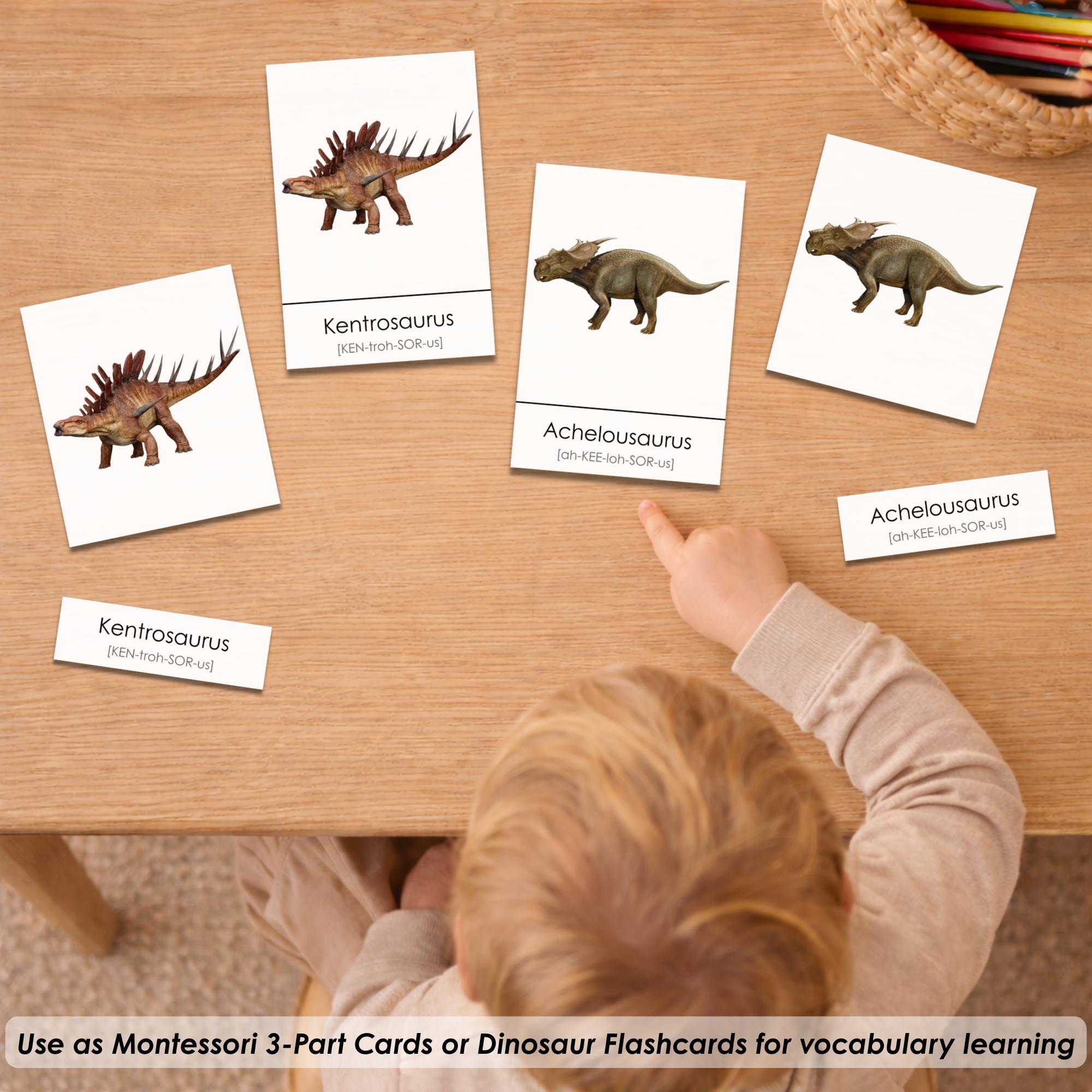 100 Dinosaur Flashcards Printable for Kids | Montessori 3-part Cards ...