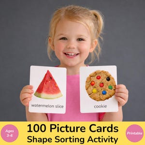 Montessori Shape Sorting Cards Printable, Preschool Shapes Activity, Real Photo Cards, Circle Square Triangle Matching Game, Learning Shapes