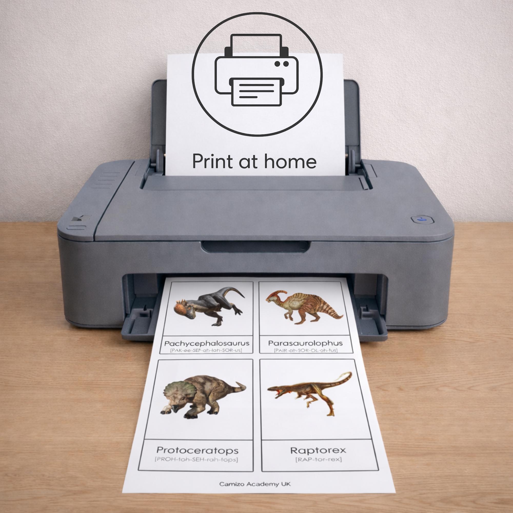 100 Dinosaur Flashcards Printable for Kids | Montessori 3-part Cards ...