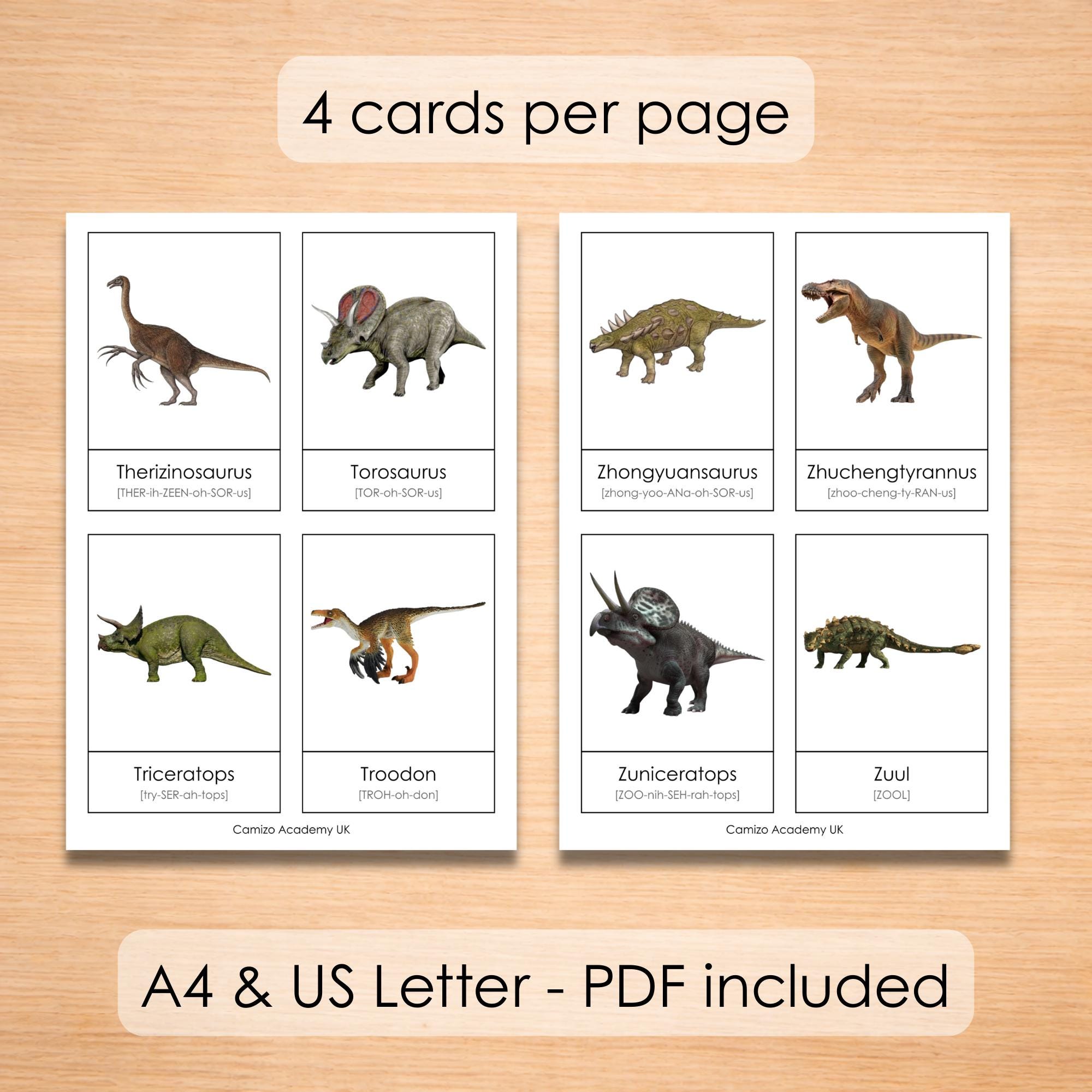 100 Dinosaur Flashcards Printable for Kids | Montessori 3-part Cards ...