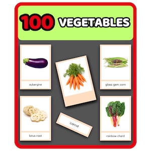 100 Vegetais - Flashcards Montessori de 3 partes | Imagens reais | Educação domiciliar | Recursos para a pré-escola | Cartão de impressões exóticas educacionais para impressão
