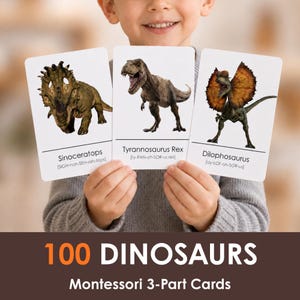 100 tarjetas didácticas de dinosaurios imprimibles para niños / Tarjetas Montessori de 3 partes / Tarjetas de aprendizaje de dinosaurios / Actividad de dinosaurios para preescolares / Estudio de la naturaleza