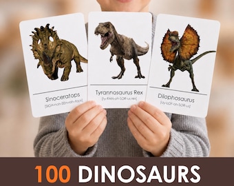100 Dinosaur Flashcards Printable for Kids | Montessori 3-Part Cards | Dinosaur Learning Cards | Preschool Dinosaur Activity | Nature Study