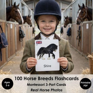 Tarjetas didácticas imprimibles con 100 razas de caballos, razas de caballos y ponis, tarjetas Montessori de 3 partes, tarjetas para aprender sobre caballos, conjunto de estudio de hipología, para amantes de los caballos.