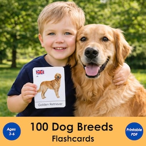 May include: A child holds a flashcard depicting a Golden Retriever, with the UK flag and breed name visible. The child is hugging a Golden Retriever. The image includes text: "100 Dog Breeds Flashcards" and "Ages 3-6." The flashcard is a learning tool for children.