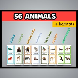 56 animales en 7 hábitats: fichas didácticas de 3 partes / imágenes reales / recursos imprimibles para padres que educan en casa / educación preescolar en el Reino Unido