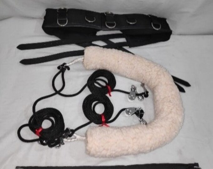 Pessoa Lunging System Etsy