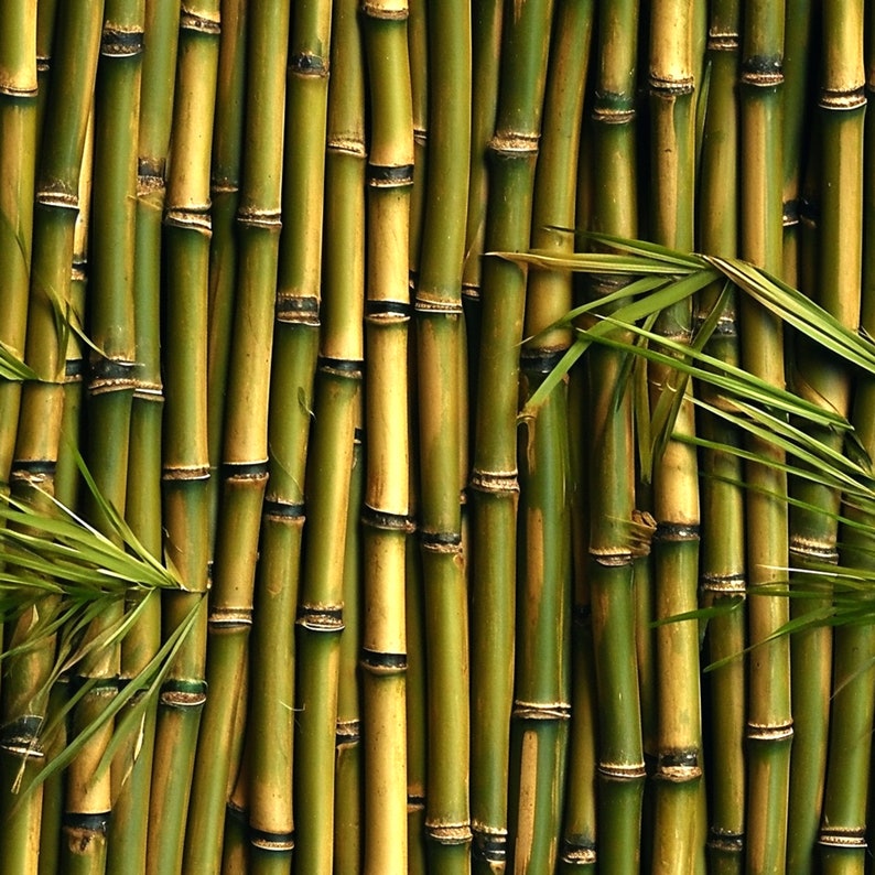 Bamboo Digital Pattern - Etsy