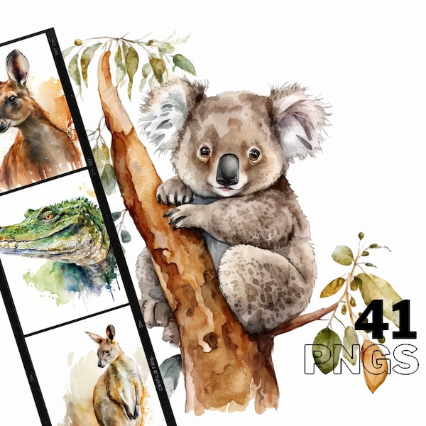 Australian Wildlife Watercolor Clipart - 41  PNG Images, Digital Download, 300 DPI - Crafts, Posters & More!