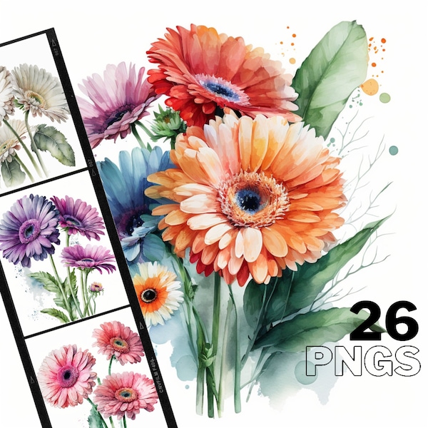 Gerber Daisy Watercolor Clipart - 26 PNG Images, Digital Download, 300 DPI - Ideal for Crafts, Posters & More!