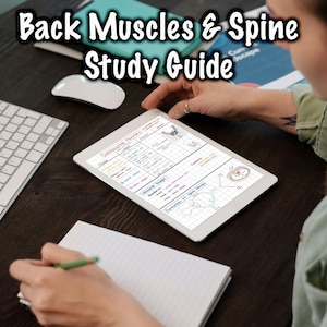 Back Muscles & Spinal Cord Study Guide: Anatomy Reference (Digital Download)