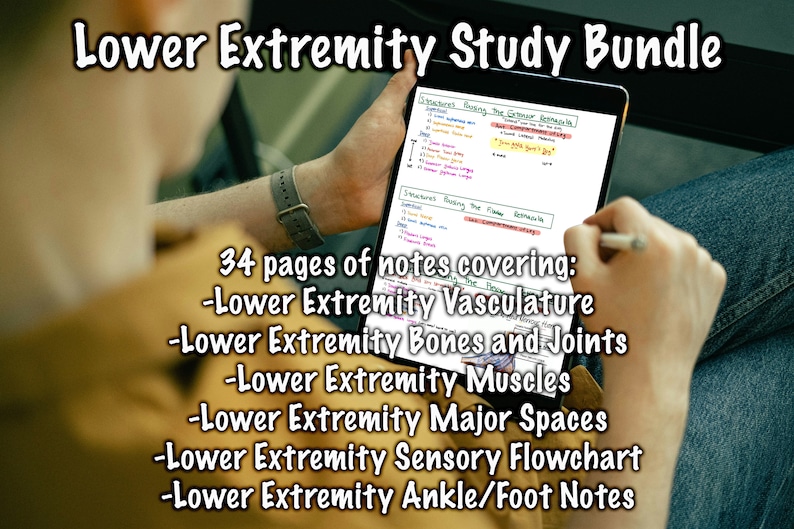 Lower Extremity: Study Bundle Pack, Study Guide, Guide Sheet, Cheat ...