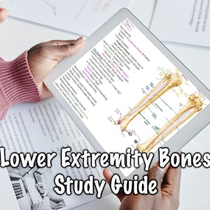 Könnte beinhalten: Nahaufnahme eines Tablet-Bildschirms, auf dem ein Studienleitfaden für die Knochen der unteren Extremitäten angezeigt wird. Der Leitfaden enthält ein beschriftetes Diagramm der Tibia und Fibula, mit Text, der die Anatomie und Funktion dieser Knochen beschreibt.