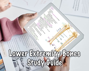 May include: A close-up of a tablet screen displaying a lower extremity bones study guide. The guide includes a labeled diagram of the tibia and fibula bones, with text describing the anatomy and function of these bones.