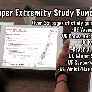 Upper Extremity: Study Bundle Pack 35+ Pages of Notes, Study Guide, Guide Sheet, Cheat Sheet, Reference Guide | Digital Download