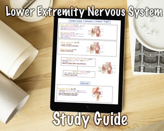 May include: A digital study guide for the lower extremity nervous system. The guide includes diagrams of the muscles and nerves of the leg and foot, along with descriptions of their functions. The guide is titled "Lower Extremity Nervous System Study Guide".