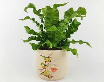 Handgemachter Keramikkopf Übertopf • Keramikgesicht Blumentopf • Steinzeug Sukkulenten Übertopf • Weihnachtsdekoration • Außenvase für Blumen