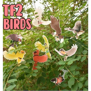 TF2 Birds