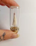 Miniature Oddity Taxidermy Mouse Middle Finger in Glass Bottle - FunnyGift - Offensive Novelty Decor