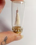 Taxidermy White Mouse Finger: The Perfect Gift For Someone You Love OR Hate, Fluffy With Attitude Flipping The Bird,Glass Vial,Funny,Joke