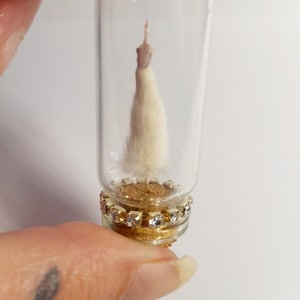 Taxidermy White Mouse Finger: The Perfect Gift For Someone You Love OR Hate, Fluffy With Attitude Flipping The Bird,Glass Vial,Funny,Joke