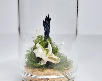 Zombie Mouse Taxidermy Arm With Real Bones