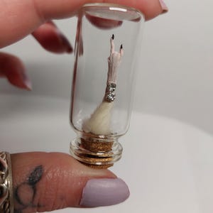May include: A small, clear glass vial with a cork stopper, containing a preserved animal foot. The foot is pale pink with black claws and a silver-colored band. The vial is held up against a white background.