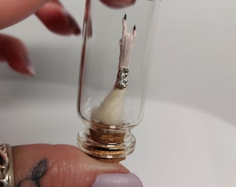 Taxidermy Rock n Roll Oddity White Mouse With Jewel Gothic Hand In A Glass Vial,Black,Nails,Rocker,Cool,Funny,Band,Music,Strange