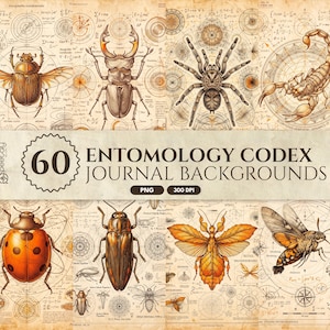 Op de afbeelding: Een digitale collectie van 60 Entomology Codex Journal-achtergronden in PNG-formaat met 300 DPI. De afbeeldingen bevatten gedetailleerde illustraties van diverse insecten, waaronder kevers, een spin en een schorpioen, op vintage papier.