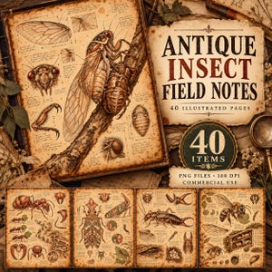 May include: A collection of Antique Insect Field Notes featuring 40 illustrated pages with detailed sketches of cicadas, ants, and bees on aged paper. The set includes PNG files with text labels and scientific diagrams of insect anatomy.