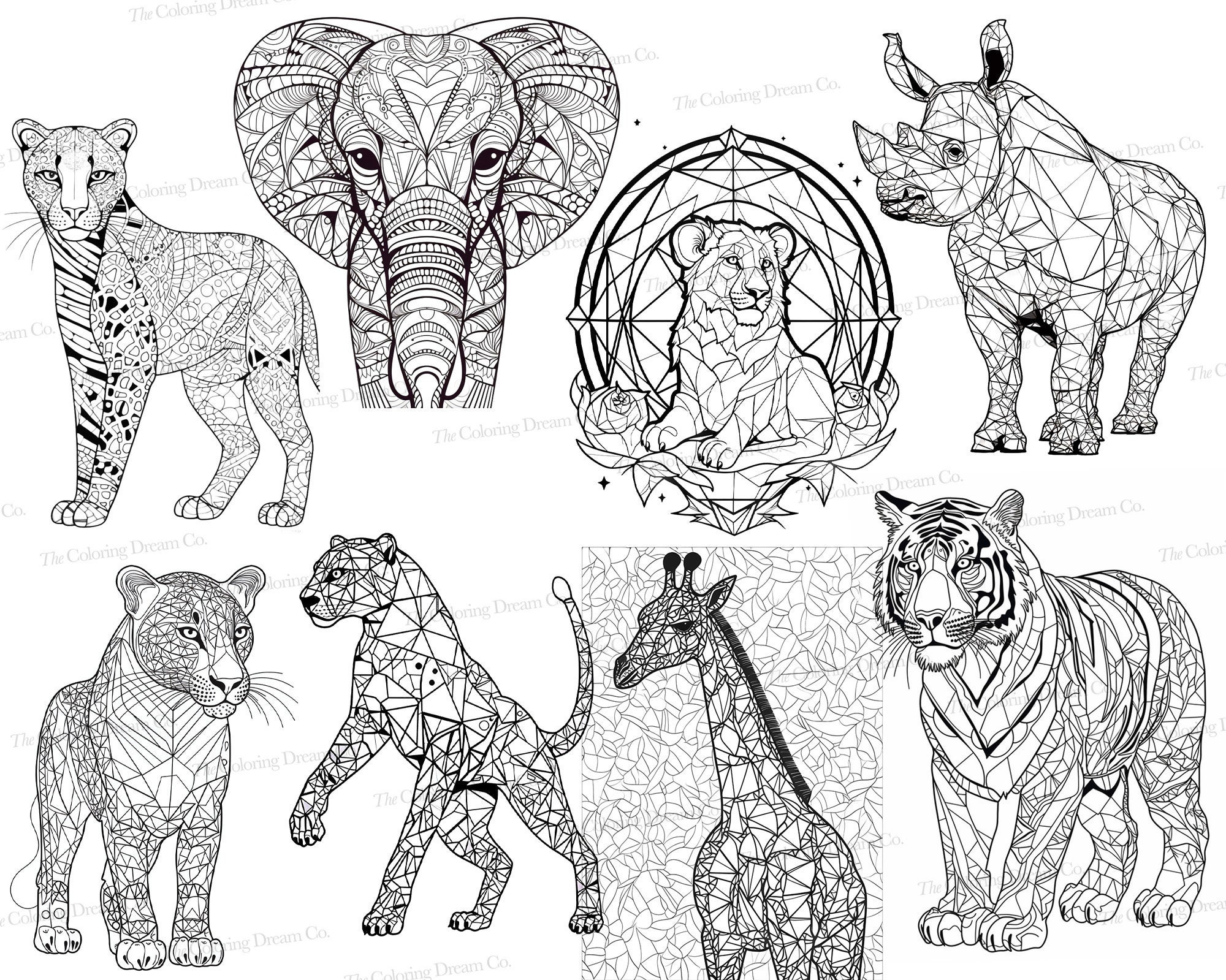 Animal Kingdom Adult Coloring Book: A Huge Adult Coloring Book of 60 Wild  Animal Designs in a Variety of Styles and Detailed Patterns (Animal  Coloring
