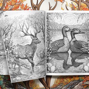 May include: A black and white illustration of a deer standing in a forest with a stream running through it. On the right page, two birds are facing each other on a lake with a sun and trees in the background.