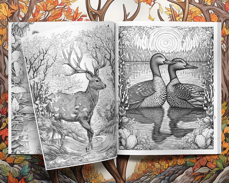 May include: A black and white illustration of a deer standing in a forest with a stream running through it. On the right page, two birds are facing each other on a lake with a sun and trees in the background.