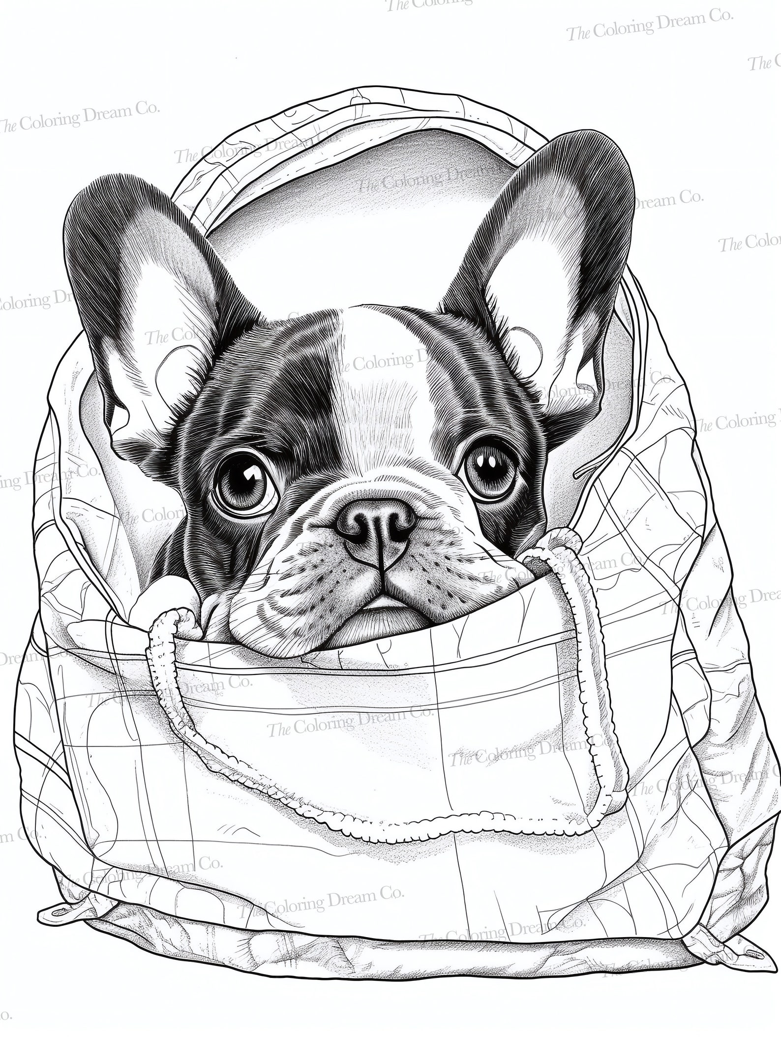 French Bulldog Coloring Book, Frenchies, Printable Coloring Pages