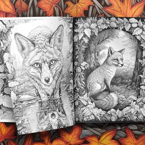 May include: A black and white colouring book page featuring two foxes. One fox is standing in a stream of water, while the other is sitting on a log in a woodland setting. The page is surrounded by intricate details of leaves and vines.