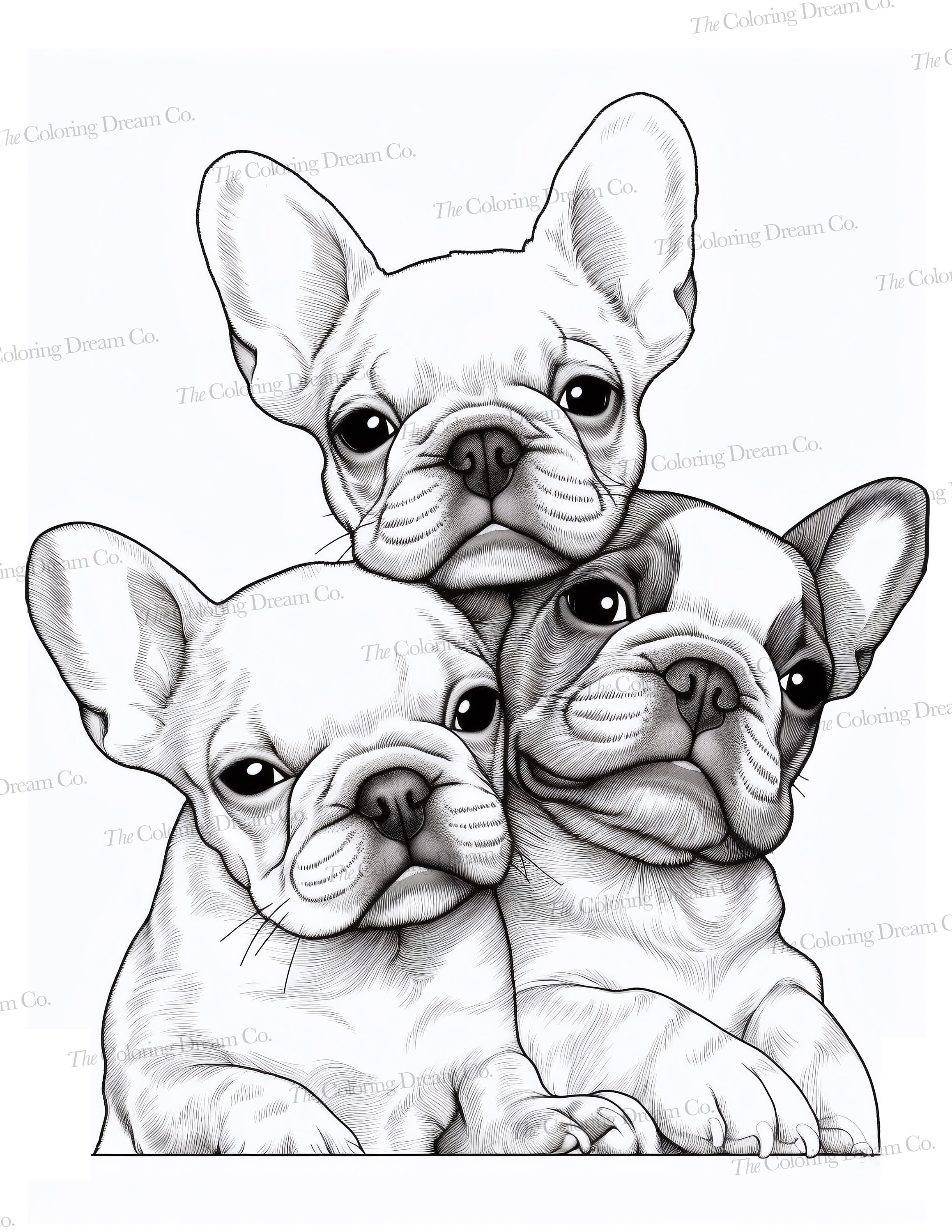 Franse Bulldog kleurboek, Frenchies, afdrukbare kleurplaten, afdrukbare  PDF, volwassenen kinderen kleurplaten, grijswaarden, Instant Download -  Etsy België, image size:2318x3000