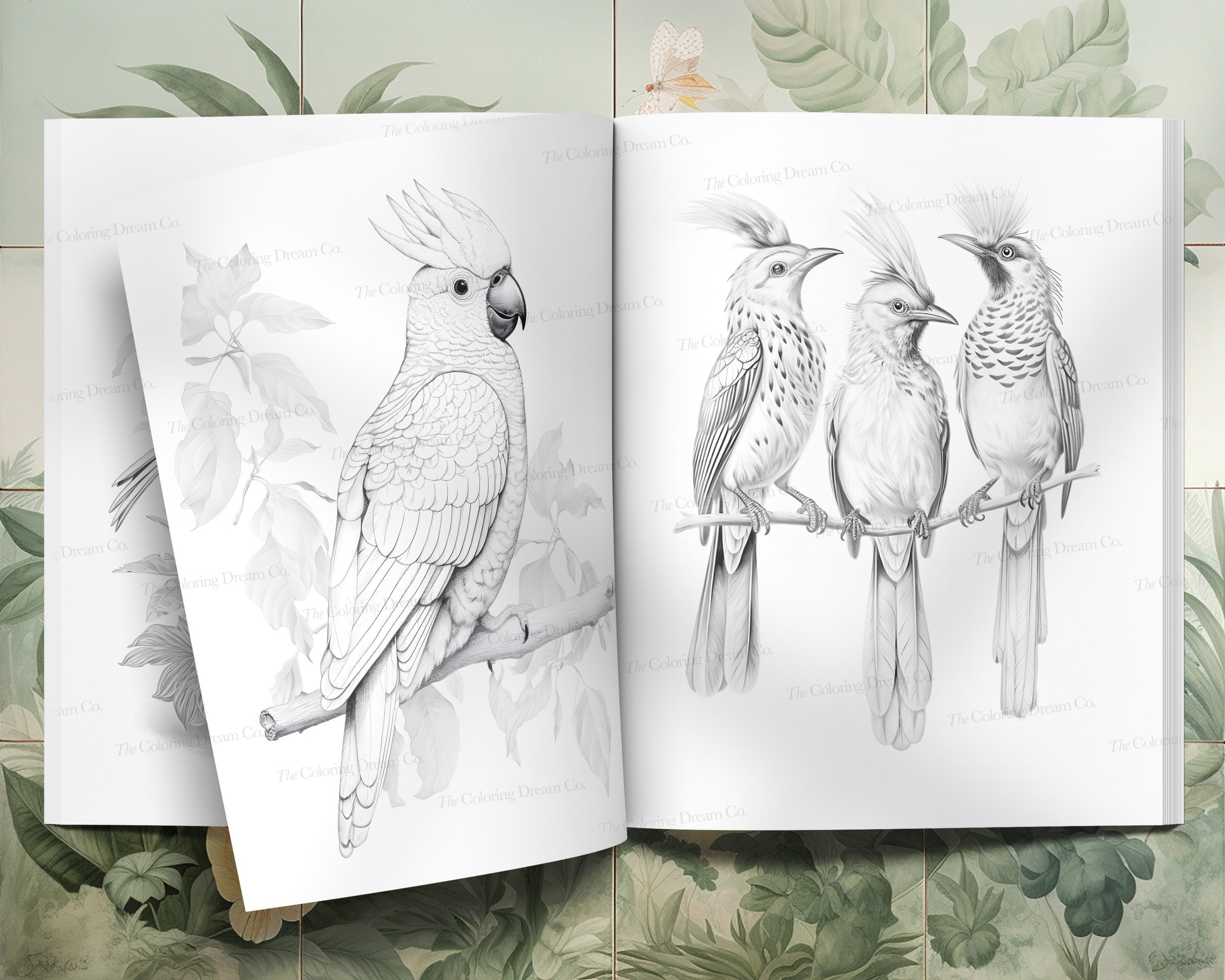 Exotic Birds Coloring Book, Tropical Birds, Printable Coloring Pages ...