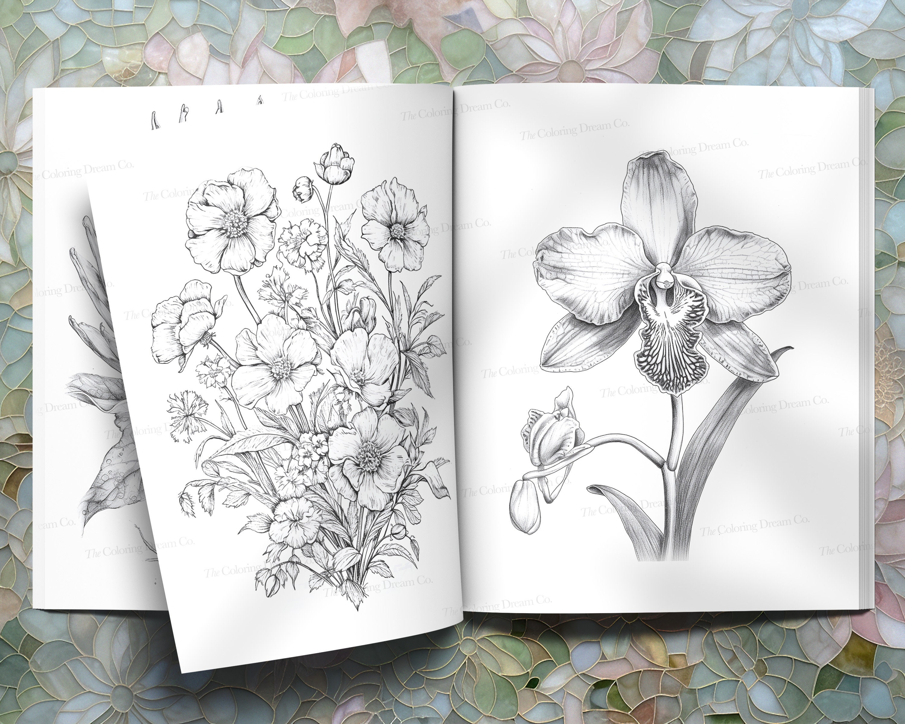Botanical Flowers Coloring Book, Beautiful Flowers Coloring Page ...