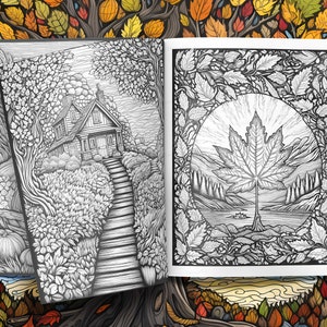 K&ouml;nnte beinhalten: Ein Schwarzwei&szlig;-Malbuch mit zwei aufgeschlagenen Seiten. Die linke Seite zeigt eine detaillierte Illustration eines Hauses mit einem gewundenen Weg, der zu ihm f&uuml;hrt. Die rechte Seite zeigt ein gro&szlig;es Ahornblatt in der Mitte eines Kreises, umgeben von Bl&auml;ttern.