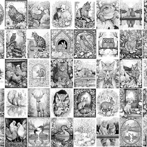 May include: A black and white colouring book page featuring a variety of animals, including owls, cats, foxes, squirrels, deer, rabbits, and ducks. The animals are depicted in a variety of poses and settings, including in trees, on fences, and in the forest.