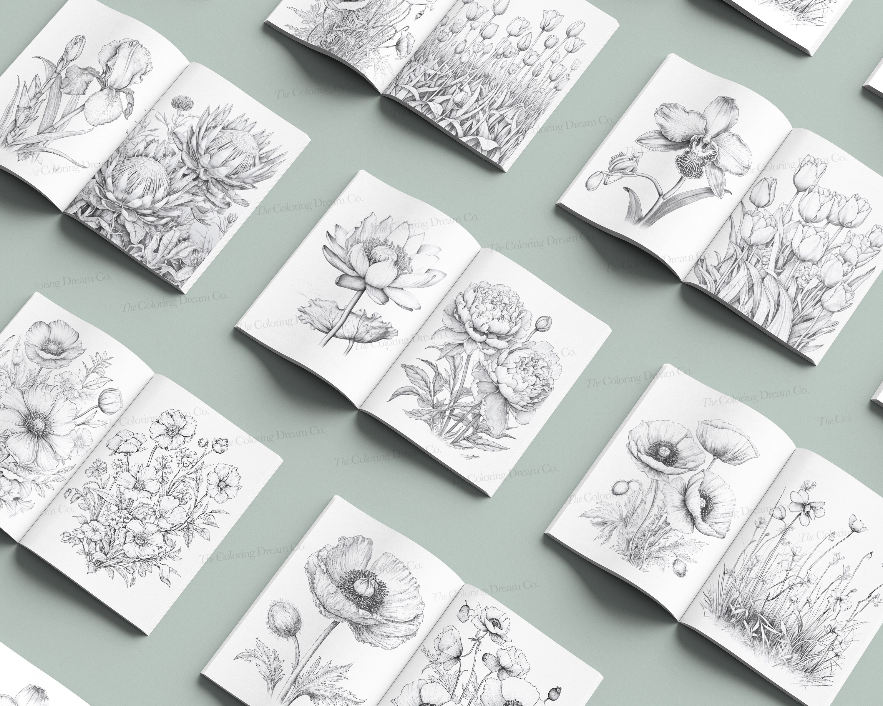 Botanical Flowers Coloring Book, Beautiful Flowers Coloring Page ...