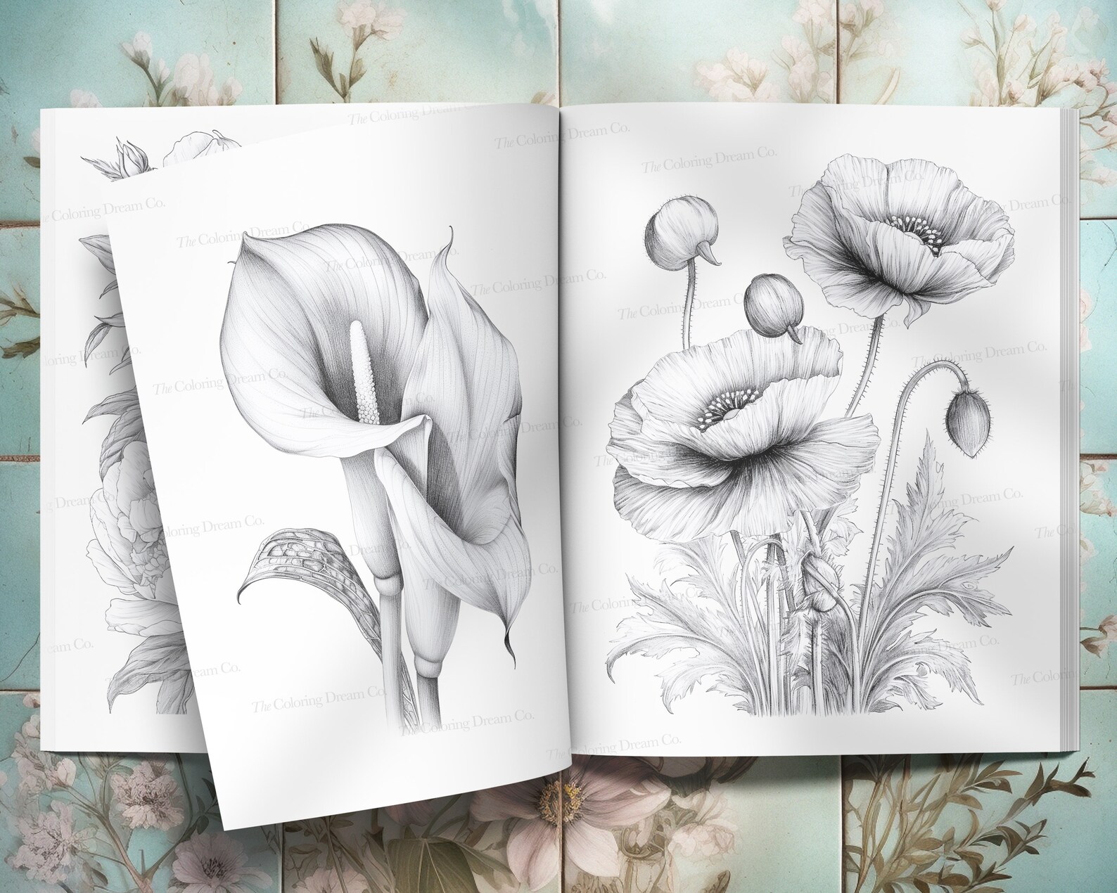 Botanical Flowers Coloring Book, Beautiful Flowers Coloring Page ...