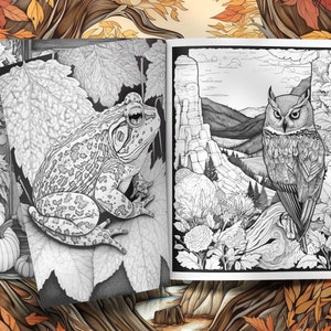 May include: A black and white colouring book page featuring a detailed illustration of a frog on a leaf and an owl perched on a branch in a mountain landscape.