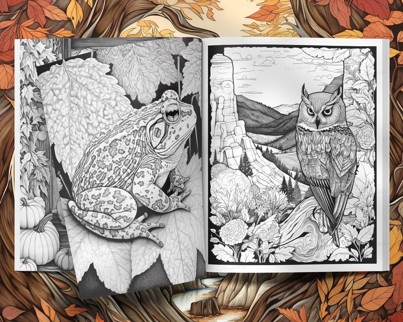May include: A black and white colouring book page featuring a detailed illustration of a frog on a leaf and an owl perched on a branch in a mountain landscape.
