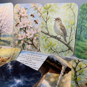 May include: A set of watercolour art cards illustrating spring. The images include a blossoming tree with the word "Spring", bees near flowers, a bird on a branch, a forest path, and a nest of baby birds. The cards have rounded corners.